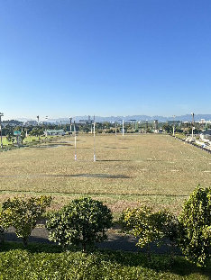 sports177003.jpg